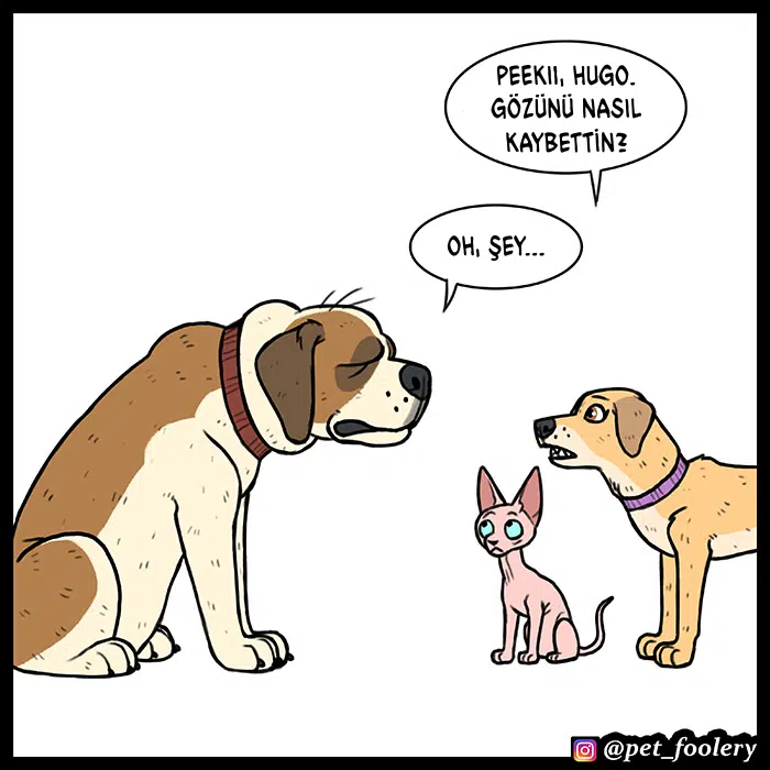 Pixie ve Brütüs - Bölüm 53 Sayfa 2