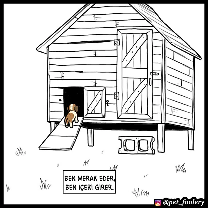 Pixie ve Brütüs - Bölüm 53 Sayfa 4