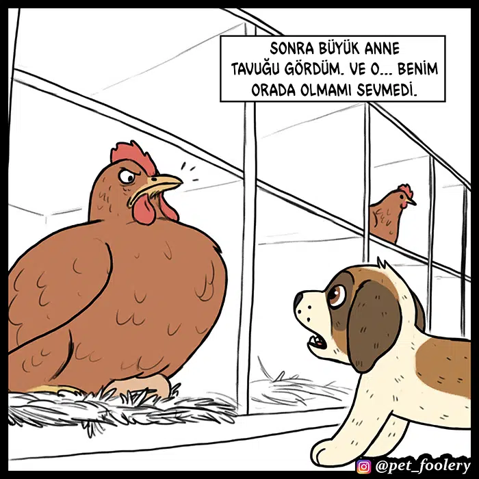 Pixie ve Brütüs - Bölüm 53 Sayfa 5