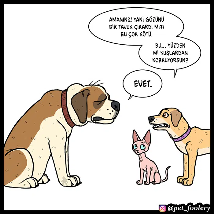 Pixie ve Brütüs - Bölüm 53 Sayfa 6