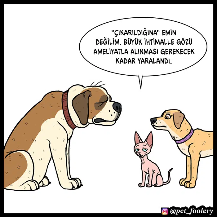 Pixie ve Brütüs - Bölüm 53 Sayfa 7