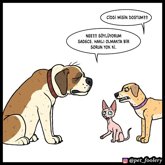 Pixie ve Brütüs - Bölüm 53 Sayfa 8