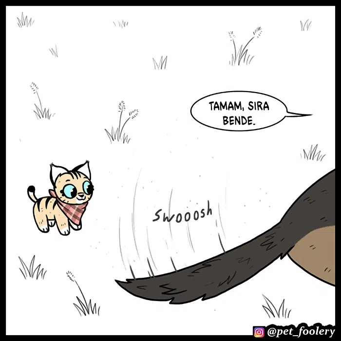Pixie ve Brütüs - Bölüm 54 Sayfa 6