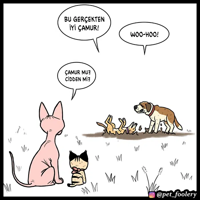Pixie ve Brütüs - Bölüm 55 Sayfa 2