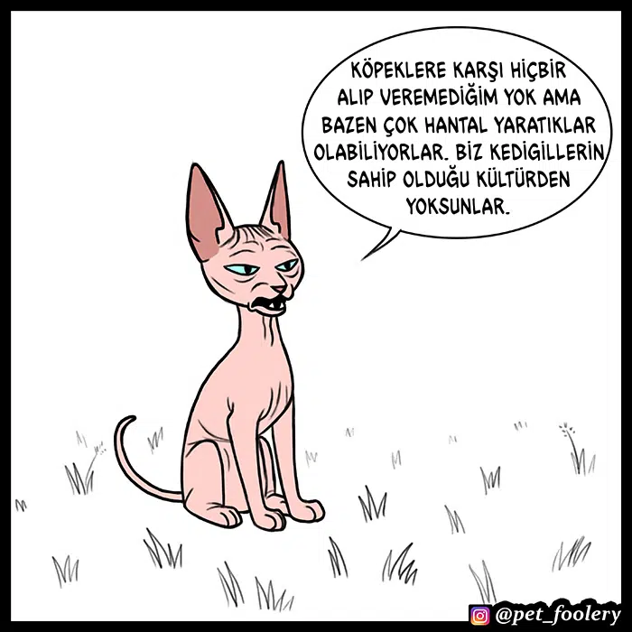 Pixie ve Brütüs - Bölüm 55 Sayfa 3