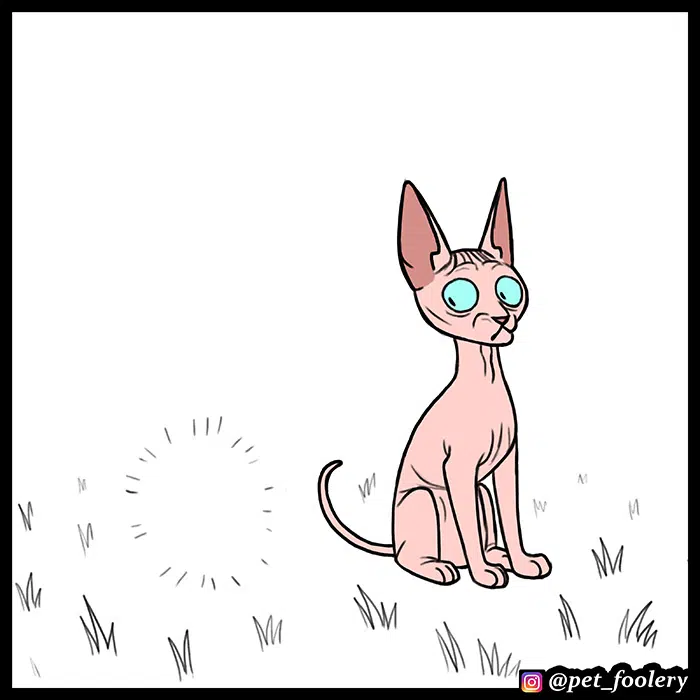 Pixie ve Brütüs - Bölüm 55 Sayfa 4