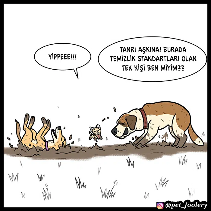 Pixie ve Brütüs - Bölüm 55 Sayfa 5