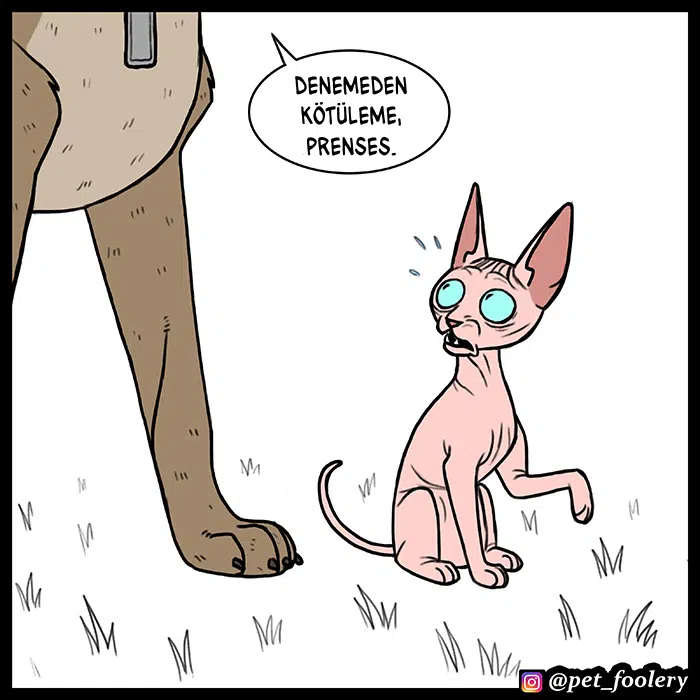 Pixie ve Brütüs - Bölüm 55 Sayfa 6