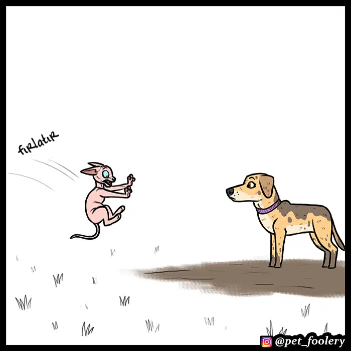 Pixie ve Brütüs - Bölüm 55 Sayfa 7