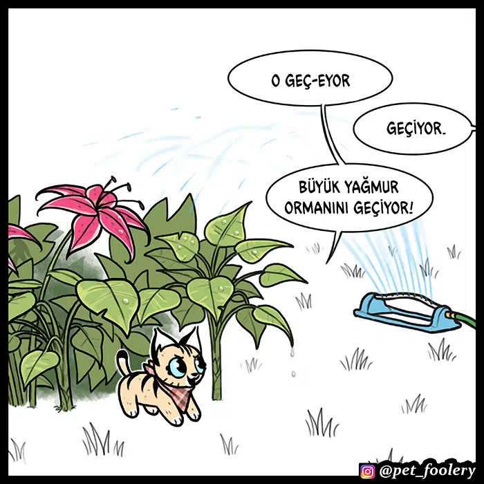 Pixie ve Brütüs - Bölüm 56 Sayfa 3