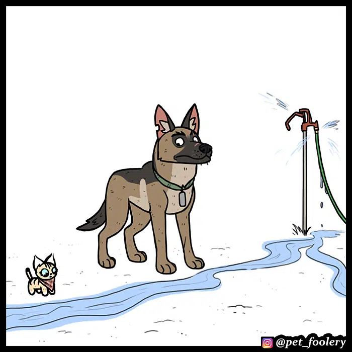 Pixie ve Brütüs - Bölüm 56 Sayfa 5