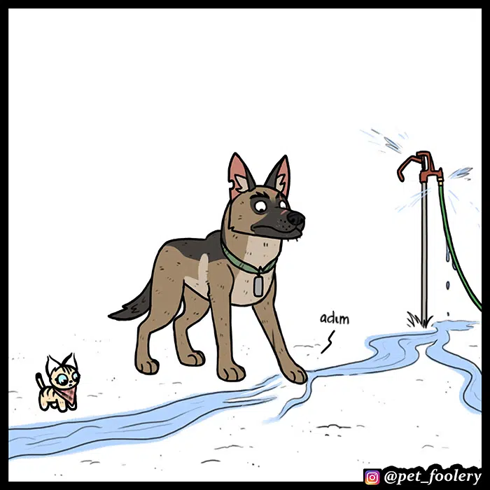 Pixie ve Brütüs - Bölüm 56 Sayfa 6
