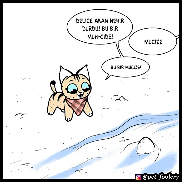 Pixie ve Brütüs - Bölüm 56 Sayfa 7