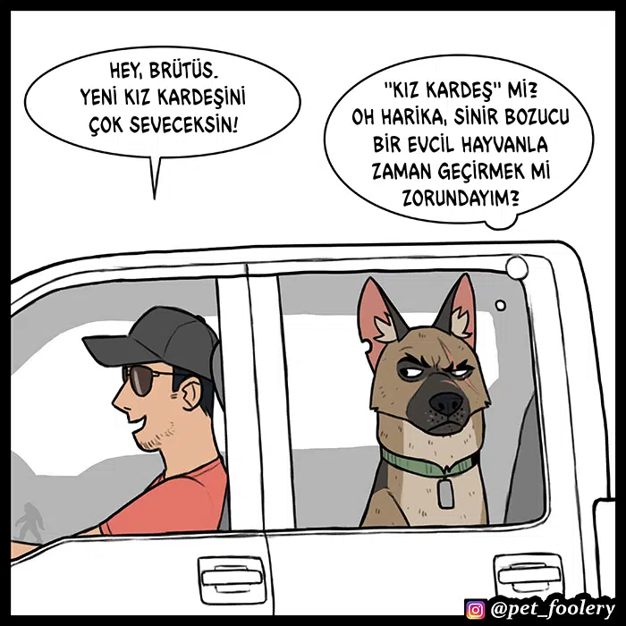 Pixie ve Brütüs - Bölüm 57 Sayfa 3