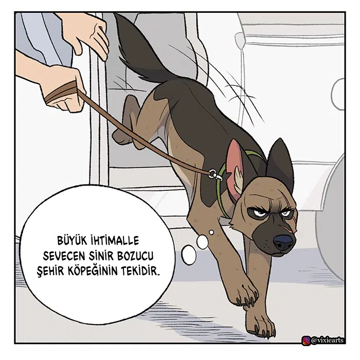 Pixie ve Brütüs - Bölüm 57 Sayfa 4