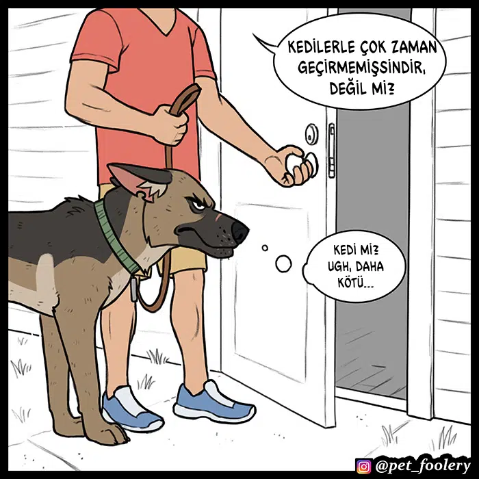 Pixie ve Brütüs - Bölüm 57 Sayfa 5