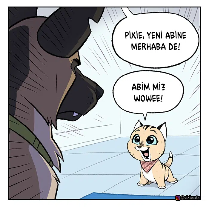 Pixie ve Brütüs - Bölüm 57 Sayfa 6
