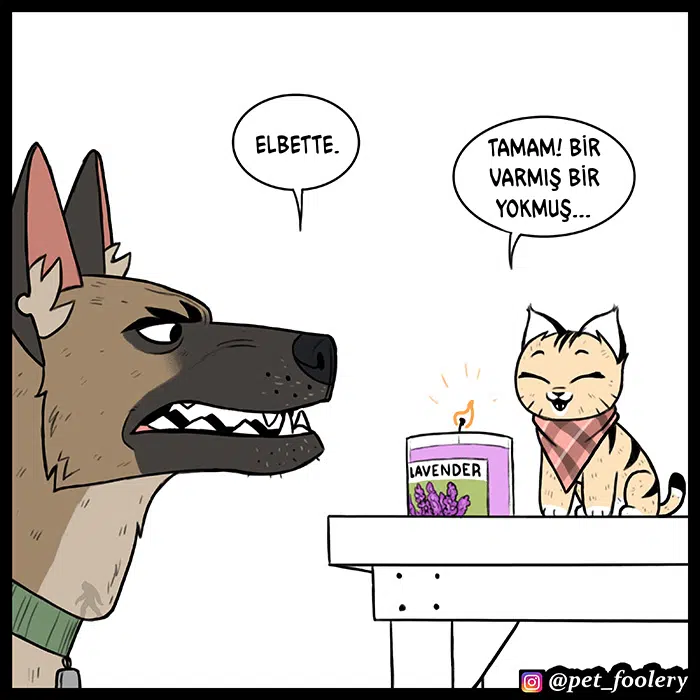 Pixie ve Brütüs - Bölüm 62 Sayfa 3