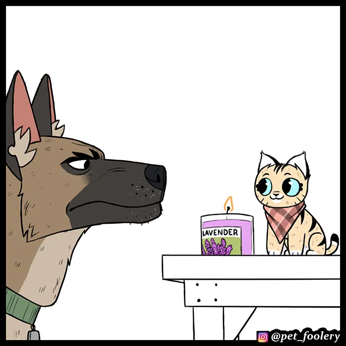 Pixie ve Brütüs - Bölüm 62 Sayfa 6