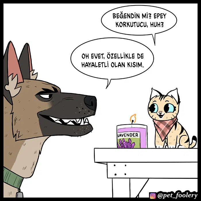 Pixie ve Brütüs - Bölüm 62 Sayfa 8