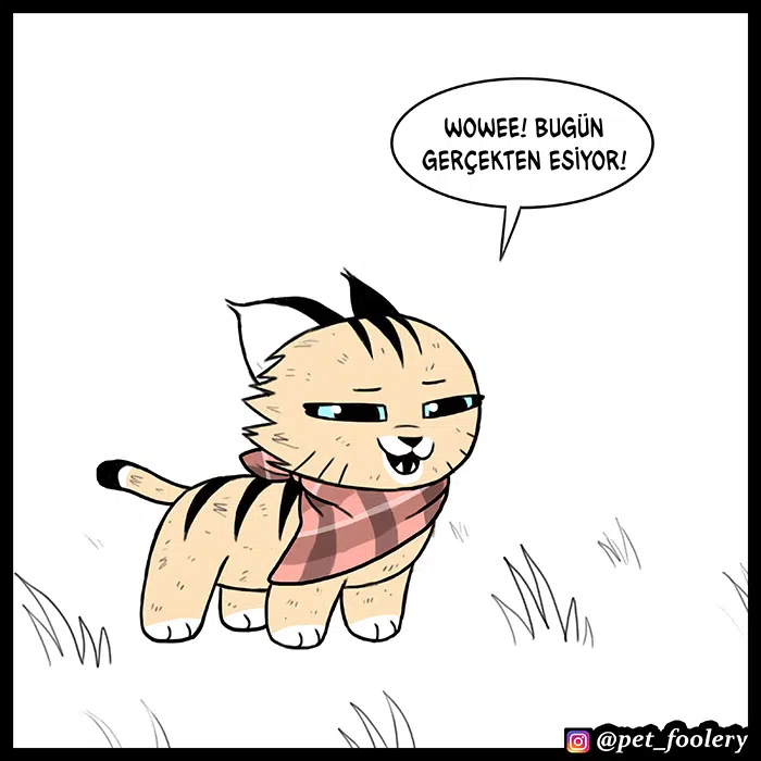 Pixie ve Brütüs - Bölüm 63 Sayfa 2
