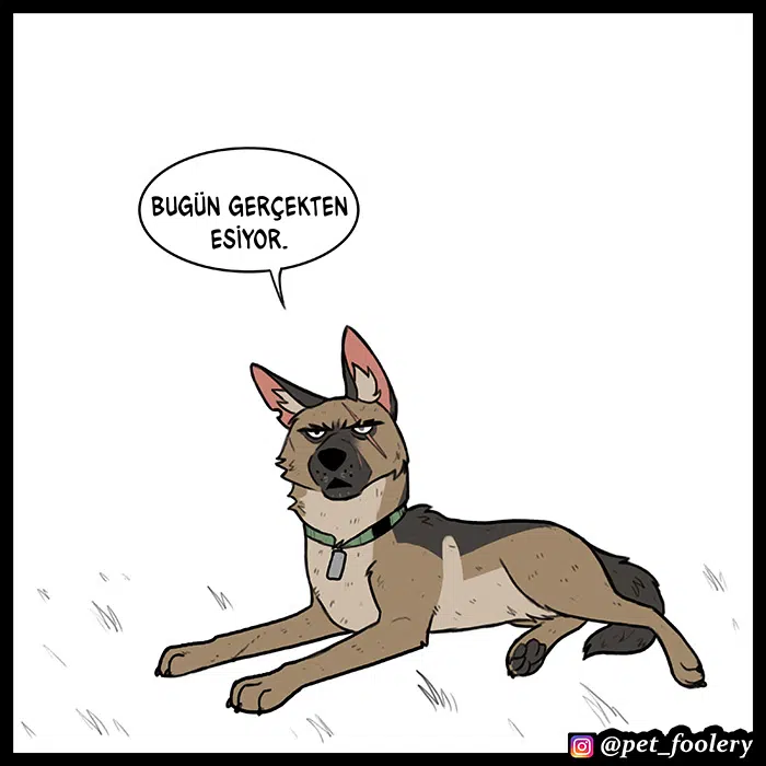 Pixie ve Brütüs - Bölüm 63 Sayfa 5