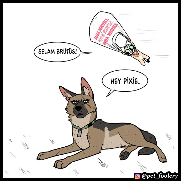 Pixie ve Brütüs - Bölüm 63 Sayfa 6