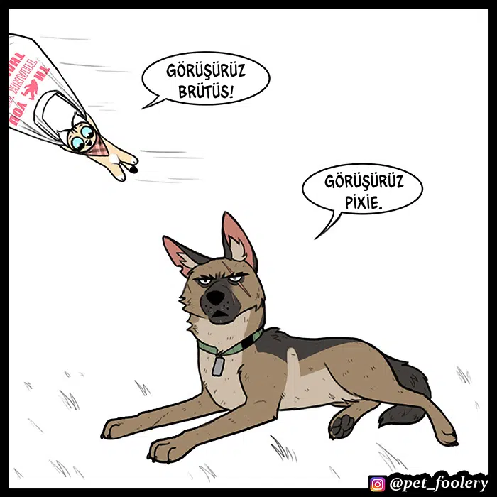 Pixie ve Brütüs - Bölüm 63 Sayfa 7
