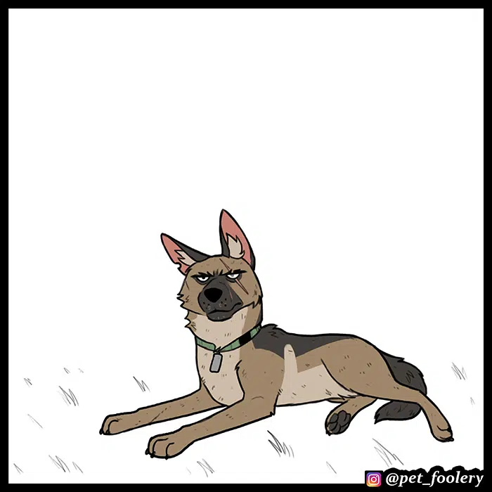 Pixie ve Brütüs - Bölüm 63 Sayfa 9