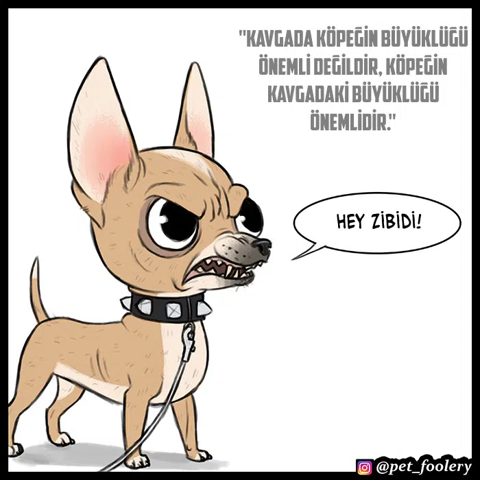 Pixie ve Brütüs - Bölüm 64 Sayfa 2