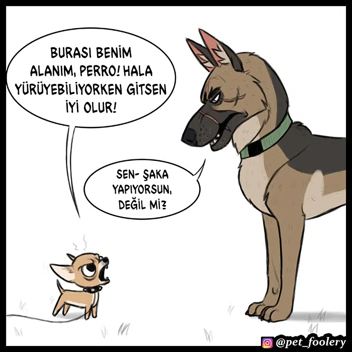 Pixie ve Brütüs - Bölüm 64 Sayfa 3