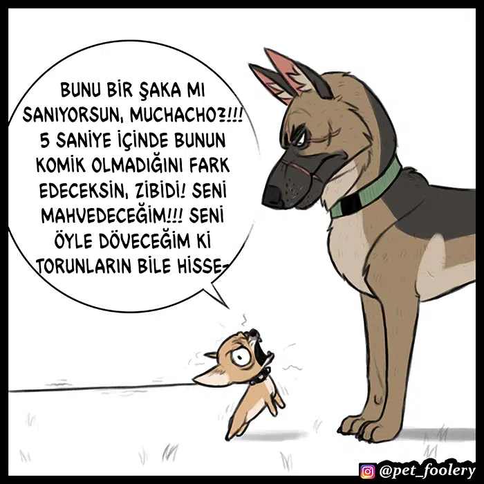 Pixie ve Brütüs - Bölüm 64 Sayfa 4