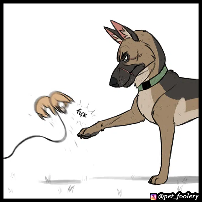 Pixie ve Brütüs - Bölüm 64 Sayfa 5