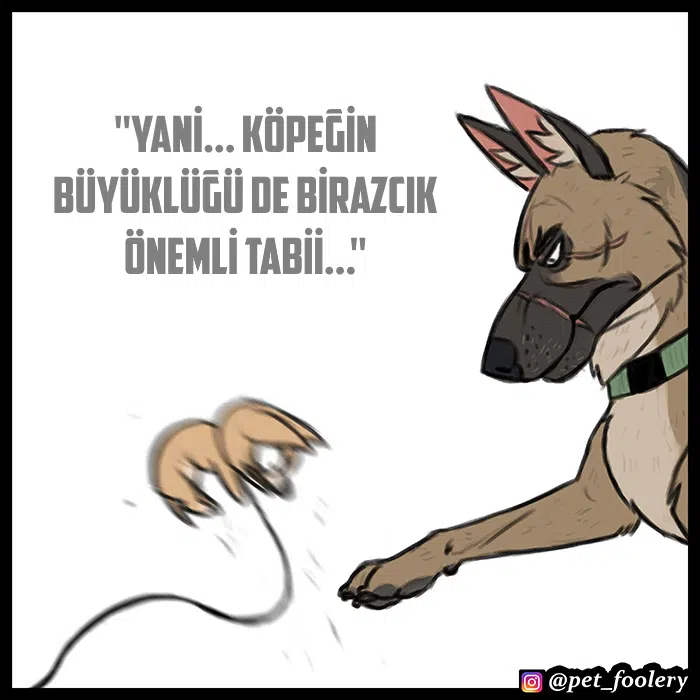 Pixie ve Brütüs - Bölüm 64 Sayfa 6