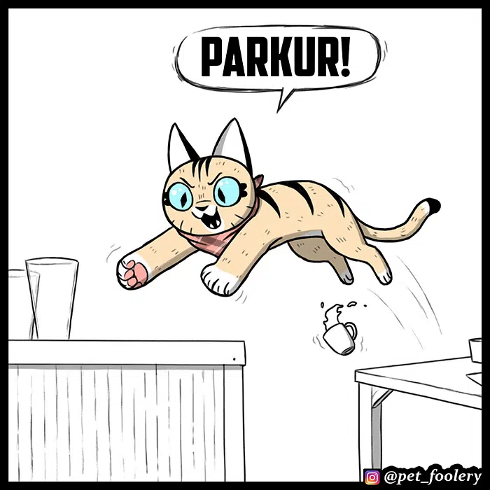 Pixie ve Brütüs - Bölüm 66 Sayfa 2