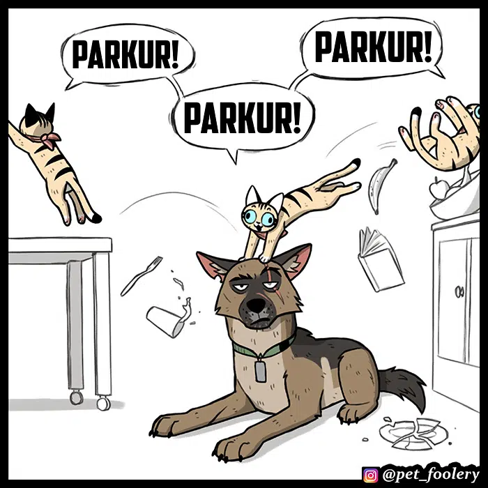 Pixie ve Brütüs - Bölüm 66 Sayfa 4