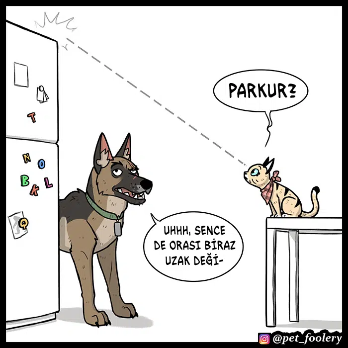 Pixie ve Brütüs - Bölüm 66 Sayfa 5