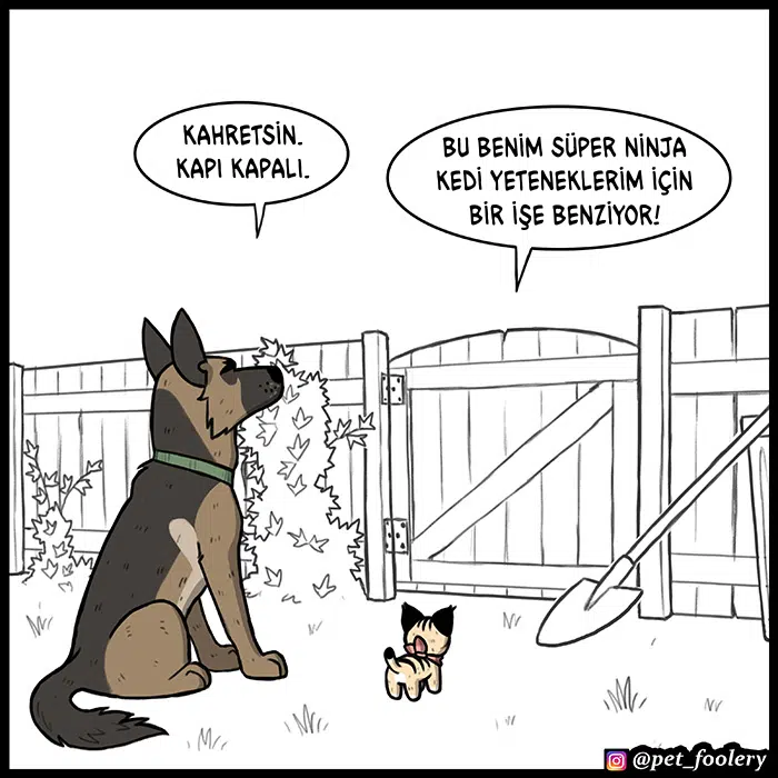 Pixie ve Brütüs - Bölüm 68 Sayfa 2