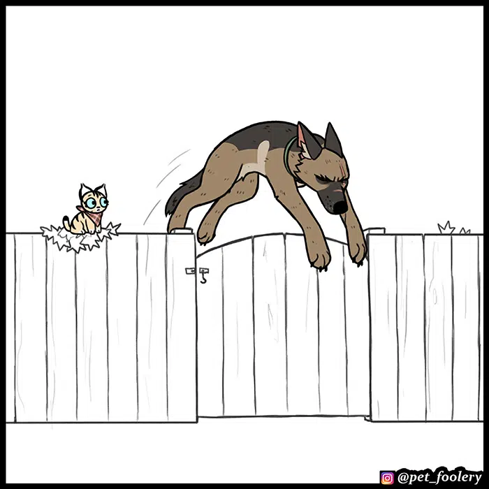 Pixie ve Brütüs - Bölüm 68 Sayfa 7