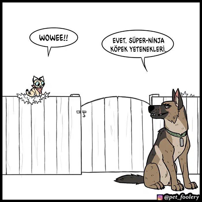 Pixie ve Brütüs - Bölüm 68 Sayfa 8