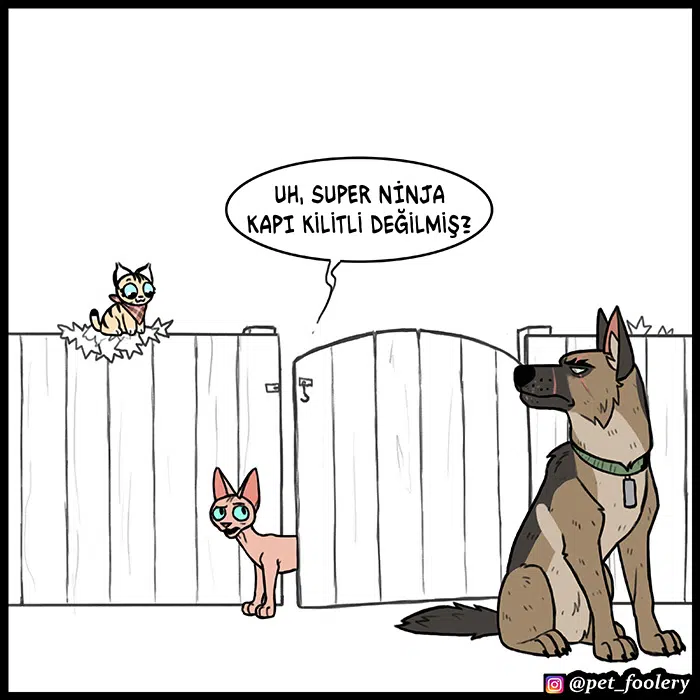 Pixie ve Brütüs - Bölüm 68 Sayfa 10