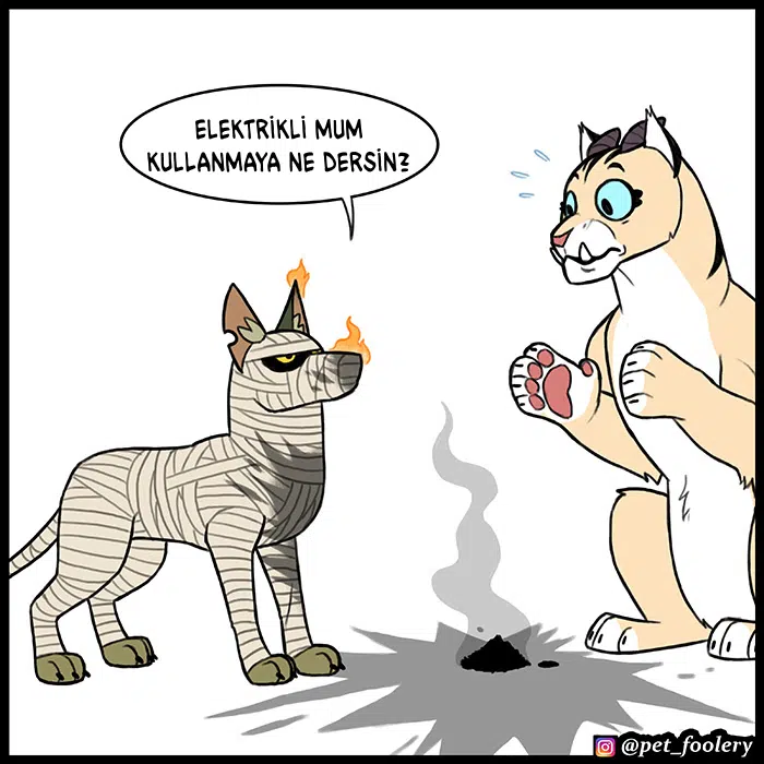 Pixie ve Brütüs - Bölüm 71 Sayfa 8