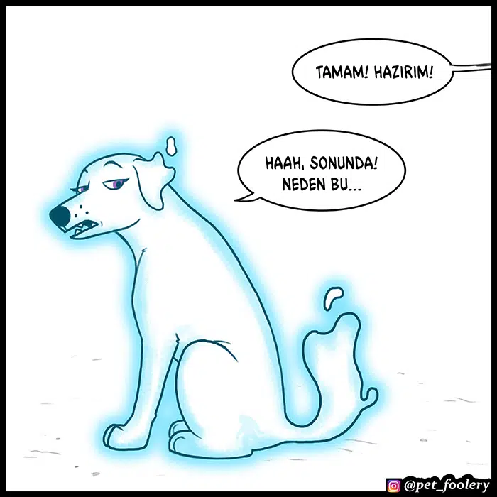 Pixie ve Brütüs - Bölüm 73 Sayfa 6
