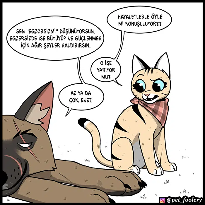 Pixie ve Brütüs - Bölüm 75 Sayfa 3