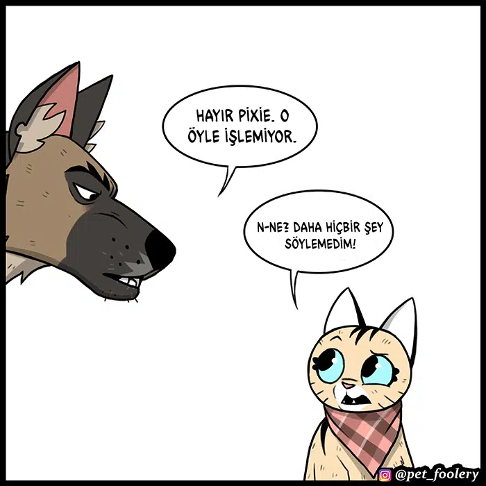 Pixie ve Brütüs - Bölüm 75 Sayfa 6
