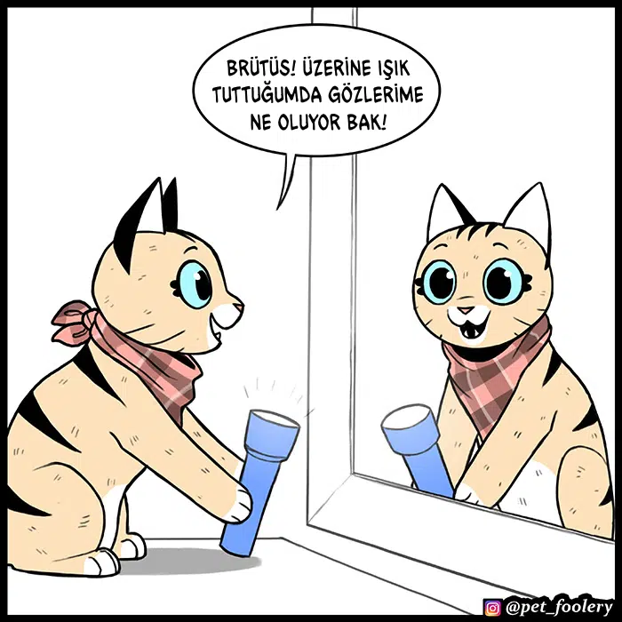 Pixie ve Brütüs - Bölüm 77 Sayfa 2