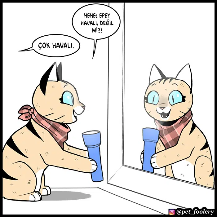 Pixie ve Brütüs - Bölüm 77 Sayfa 3