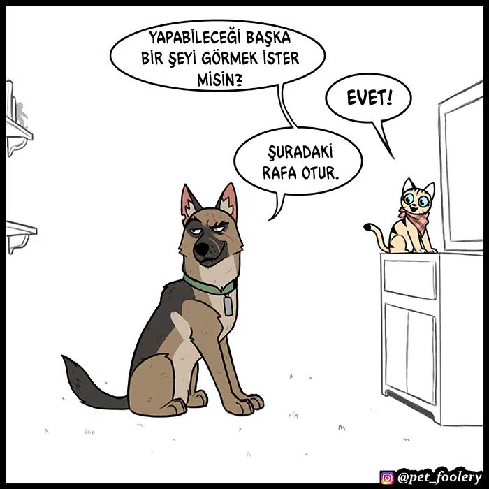 Pixie ve Brütüs - Bölüm 77 Sayfa 4