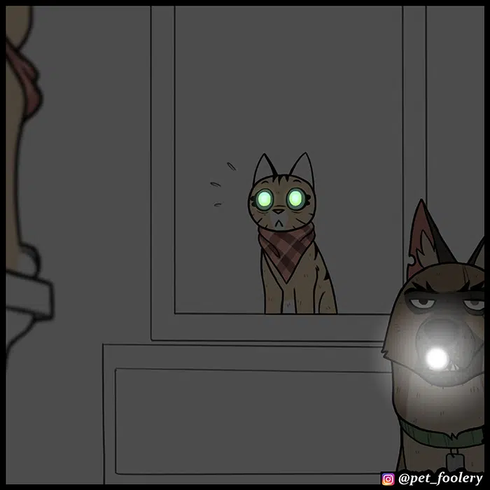 Pixie ve Brütüs - Bölüm 77 Sayfa 7