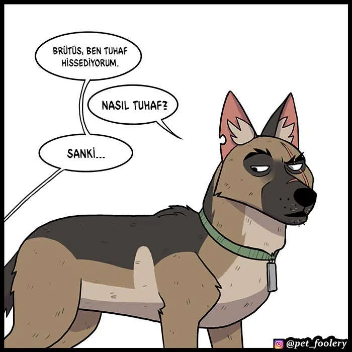 Pixie ve Brütüs - Bölüm 78 Sayfa 2